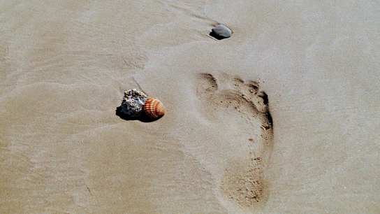 Cuál es la playa más cercana a Madrid Cuál es la playa más cercana a Madrid