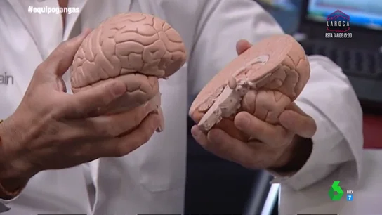 Tu cerebro responde así cuando entras en una tienda de Primark y el neuromarketing lo sabe Tu cerebro responde así cuando entras en una tienda de Primark y el neuromarketing lo sabe