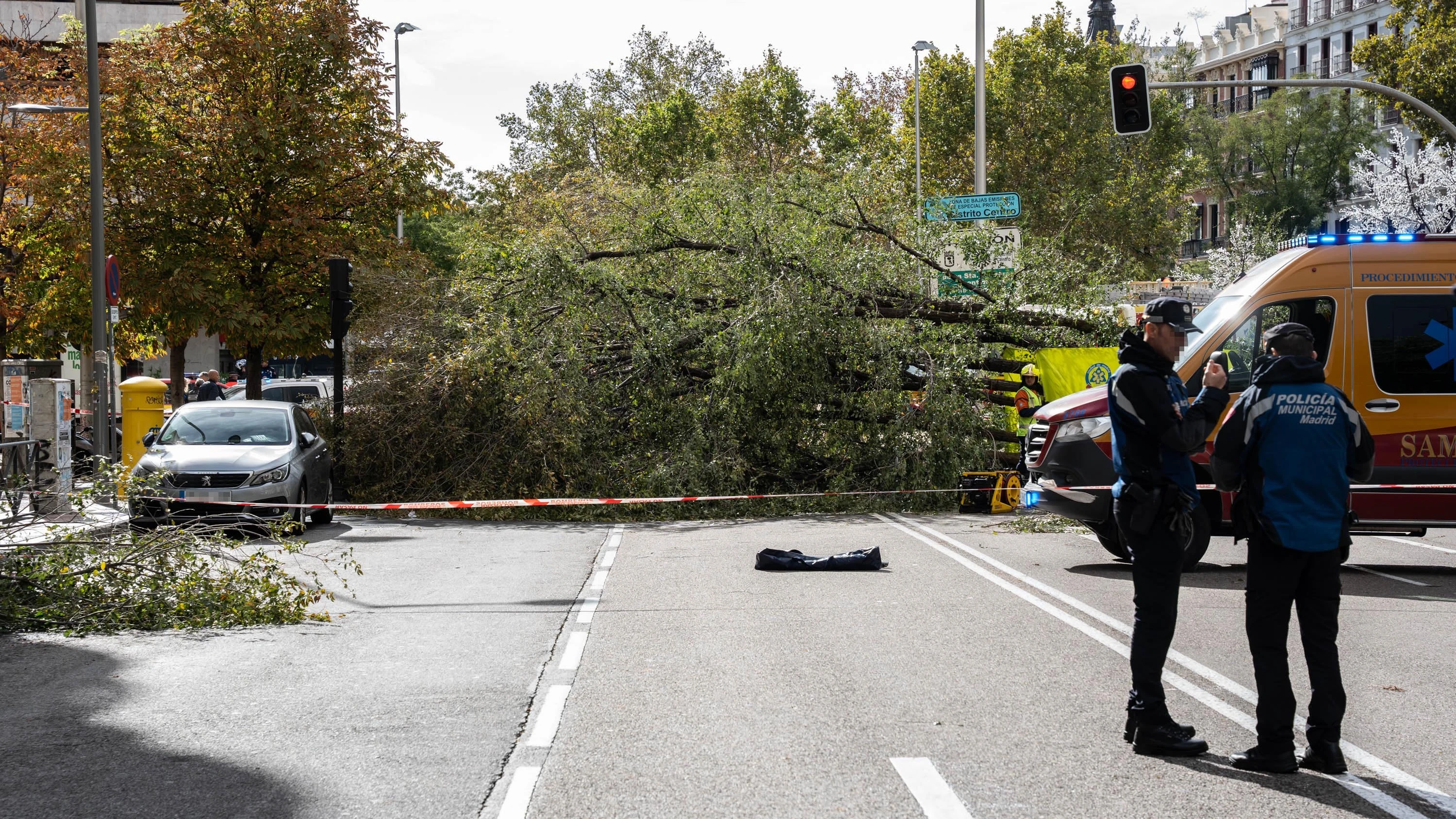 El Ayuntamiento de Madrid revisó el pasado 25 de mayo el árbol que mató a una joven en la calle Almagro