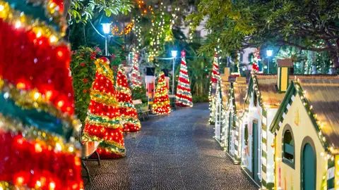 Navidad en Madeira Navidad en Madeira