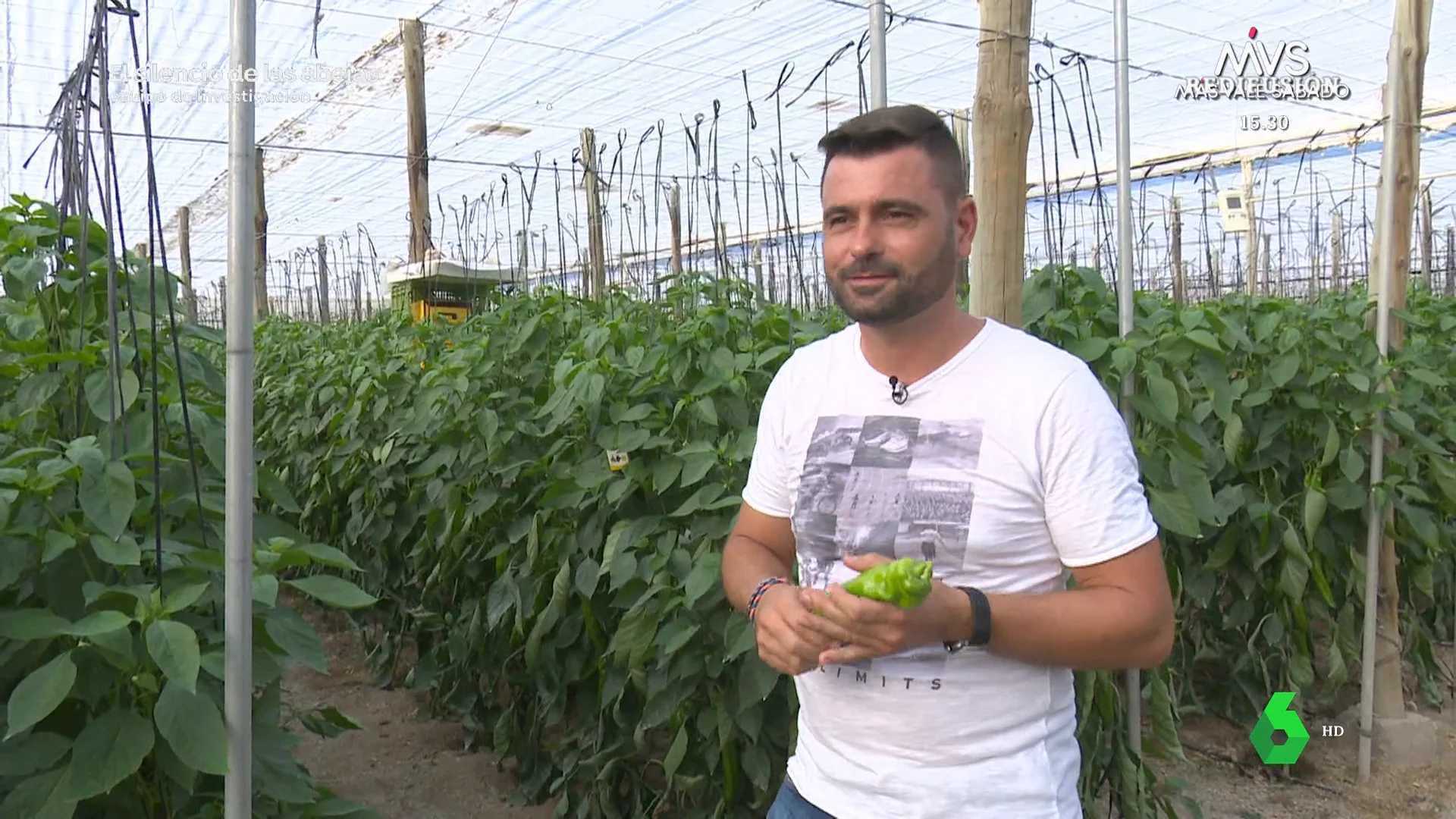 Un agricultor señala los beneficios de polinizar con abejorros: "Cuanta más calidad tengo, más beneficio tengo"