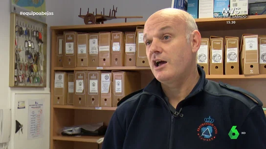 El mayor exterminados de avispas asiáticas de España: " El mayor exterminados de avispas asiáticas de España: "