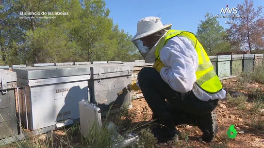La Guardia Civil destapa el truco de un ladrón de colmenas: " La Guardia Civil destapa el truco de un ladrón de colmenas: "