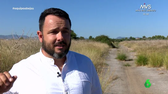 Habla una víctima de un robo de colmenas: "En 30 minutos te roban 30.000 euros y se quedan tan anchos" Habla una víctima de un robo de colmenas: "En 30 minutos te roban 30.000 euros y se quedan tan anchos"