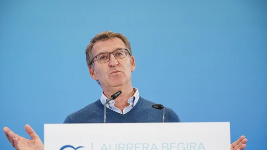 El presidente del Partido Popular, Alberto Núñez Feijóo, interviene durante un Congreso territorial extraordinario del PP vasco El presidente del Partido Popular, Alberto Núñez Feijóo, interviene durante un Congreso territorial extraordinario del PP vasco