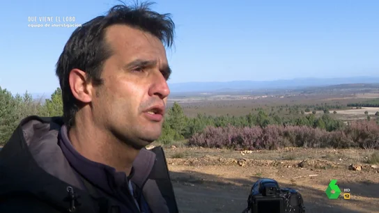 Un guía, sobre los beneficios del turismo de lobos ante la prohibición de su caza: "Evita la despoblación" Un guía, sobre los beneficios del turismo de lobos ante la prohibición de su caza: "Evita la despoblación"