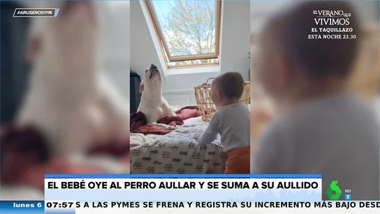 Cuando el bebé y el perro se ponen a aullar juntos Cuando el bebé y el perro se ponen a aullar juntos