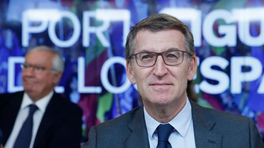 Alberto Núñez Feijóo, durante la Junta Directiva Nacional de la formación Alberto Núñez Feijóo, durante la Junta Directiva Nacional de la formación/ EFE/ Mariscal