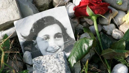 Imagen de archivo de una rosa y una foto de Ana Frank en el monumento conmemorativo del campo de concentración en Bergen-Belsen Imagen de archivo de una rosa y una foto de Ana Frank en el monumento conmemorativo del campo de concentración en Bergen-Belsen
