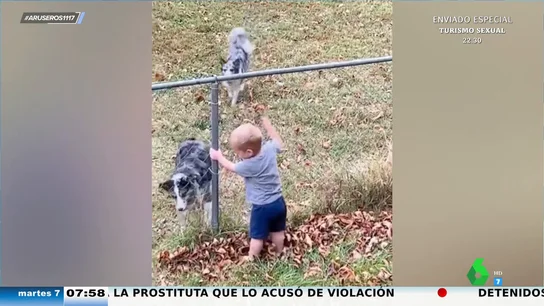El divertido juego de un bebé y el perro de su vecino: así se pasan la pelota a través de la valla El divertido juego de un bebé y el perro de su vecino: así se pasan la pelota a través de la valla