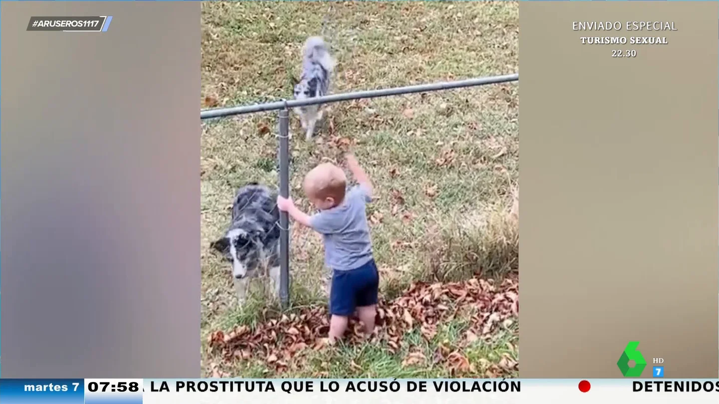 El divertido juego de un bebé y el perro de su vecino: así se pasan la pelota a través de la valla El divertido juego de un bebé y el perro de su vecino: así se pasan la pelota a través de la valla