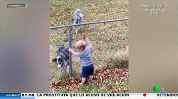 El divertido juego de un bebé y el perro de su vecino: así se pasan la pelota a través de la valla