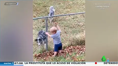 El divertido juego de un bebé y el perro de su vecino: así se pasan la pelota a través de la valla