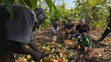 Programa 5: La otra cara del cacao