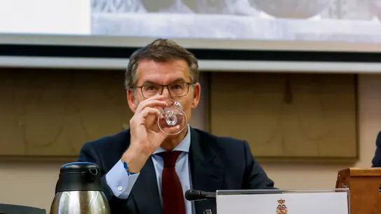 El líder del PP, Alberto Núñez Feijóo El líder del PP, Alberto Núñez Feijóo