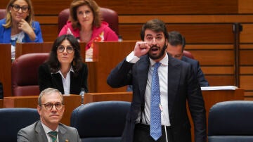 Juan García-Gallardo, vicepresidente de la Junta de Castilla y León, hace el gesto de llorar durante el Pleno