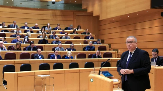 El senador del PP Francisco Martín Bernabé interviene durante un pleno que celebra la Cámara Alta El senador del PP Francisco Martín Bernabé interviene durante un pleno que celebra la Cámara Alta