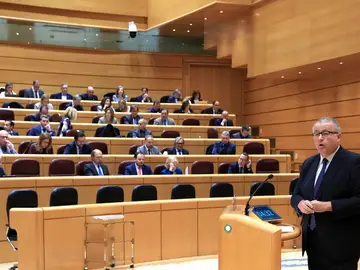 El senador del PP Francisco Martín Bernabé interviene durante un pleno que celebra la Cámara Alta