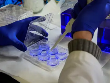 Imagen laboratorio Imagen laboratorio