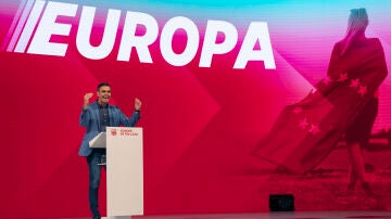 El lider del PSOE y presidente en funciones de España, Pedro Sánchez, durante su intervención, en la segunda jornada del Congreso Europeo Socialista
