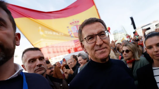 El líder del PP, Alberto Núñez Feijóo, en la manifestación del PP en Madrid contra la amnistía El líder del PP, Alberto Núñez Feijóo, en la manifestación del PP en Madrid contra la amnistía