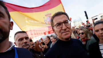 El líder del PP, Alberto Núñez Feijóo, en la manifestación del PP en Madrid contra la amnistía