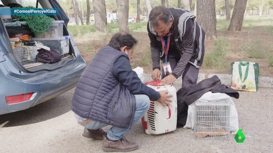 El exitoso “Método CER”: Los Cuatro de la Empanadilla capturan a 20 gatos de colonia para ser esterilizados El exitoso “Método CER”: Los Cuatro de la Empanadilla capturan a 20 gatos de colonia para ser esterilizados