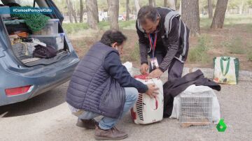 El exitoso “Método CER”: Los Cuatro de la Empanadilla capturan a 20 gatos de colonia para ser esterilizados