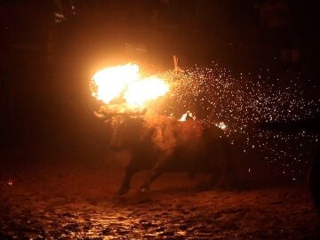 Imagen de archivo de un momento del toro jubilo de Medinaceli