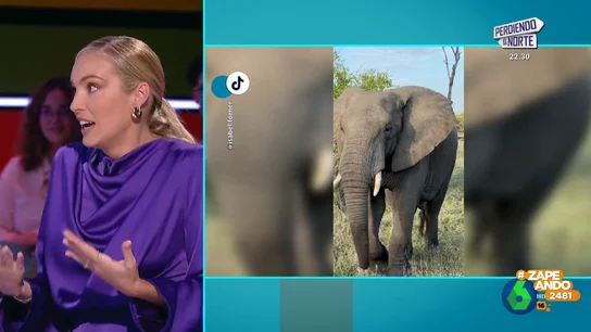 El tenso momento de Isabel Forner durante su último viaje: "Sudando y con la estampita de la virgen en la mano" El tenso momento de Isabel Forner durante su último viaje: "Sudando y con la estampita de la virgen en la mano"