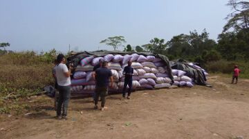Jalis de la Serna encuentra 12.000 kg de cacao ilegal en plena selva de Costa de Marfil: así llega hasta los supermercados españoles