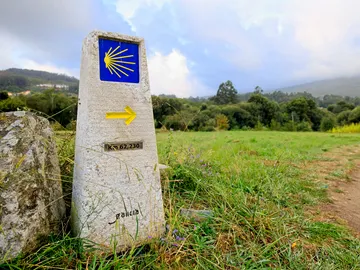Cocha y flecha de los peregrinos del Camino de Santiago Cocha y flecha de los peregrinos del Camino de Santiago