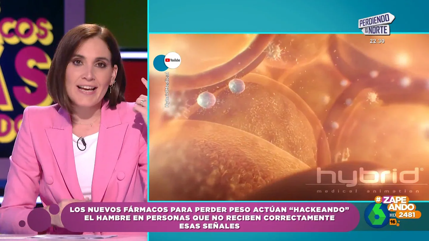 ¿Qué es el hambre hormonal? Boticaria García apunta al fallo en las señales que se envían al cerebro ¿Qué es el hambre hormonal? Boticaria García apunta al fallo en las señales que se envían al cerebro
