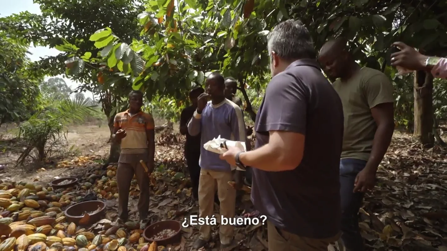 Así reaccionan recolectores de cacao de Costa de Marfil al probar por primera vez una tableta de chocolate y descubrir su precio Así reaccionan recolectores de cacao de Costa de Marfil al probar por primera vez una tableta de chocolate y descubrir su precio