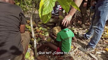 "¿Por qué no va el niño al colegio?": Jalis de la Serna localiza a un menor de 8 años con su padre en una plantación de cacao