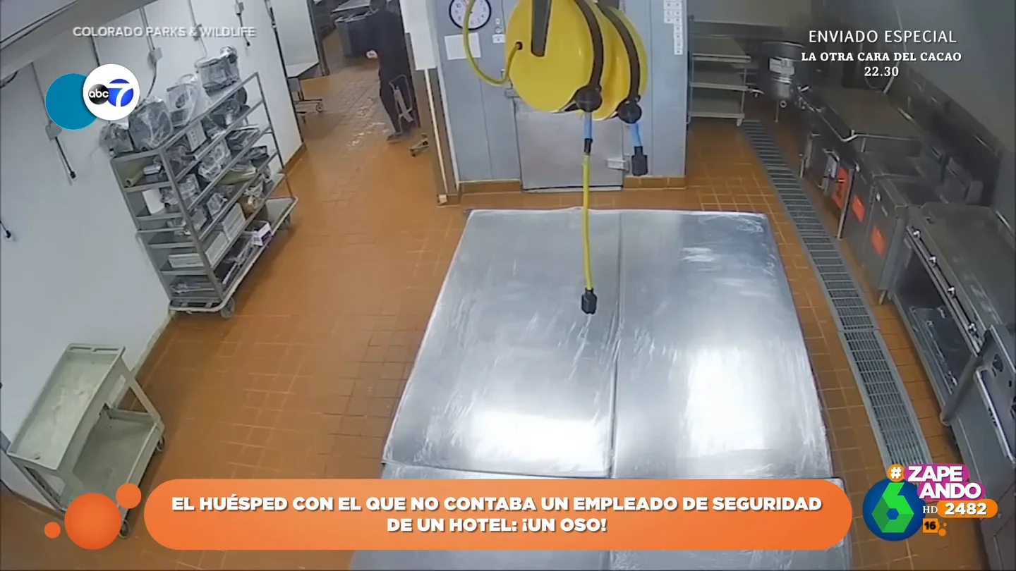 El inesperado huésped que un vigilante de seguridad encuentra en la cocina de un hotel de Aspen El inesperado huésped que un vigilante de seguridad encuentra en la cocina de un hotel de Aspen