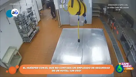 El inesperado huésped que un vigilante de seguridad encuentra en la cocina de un hotel de Aspen