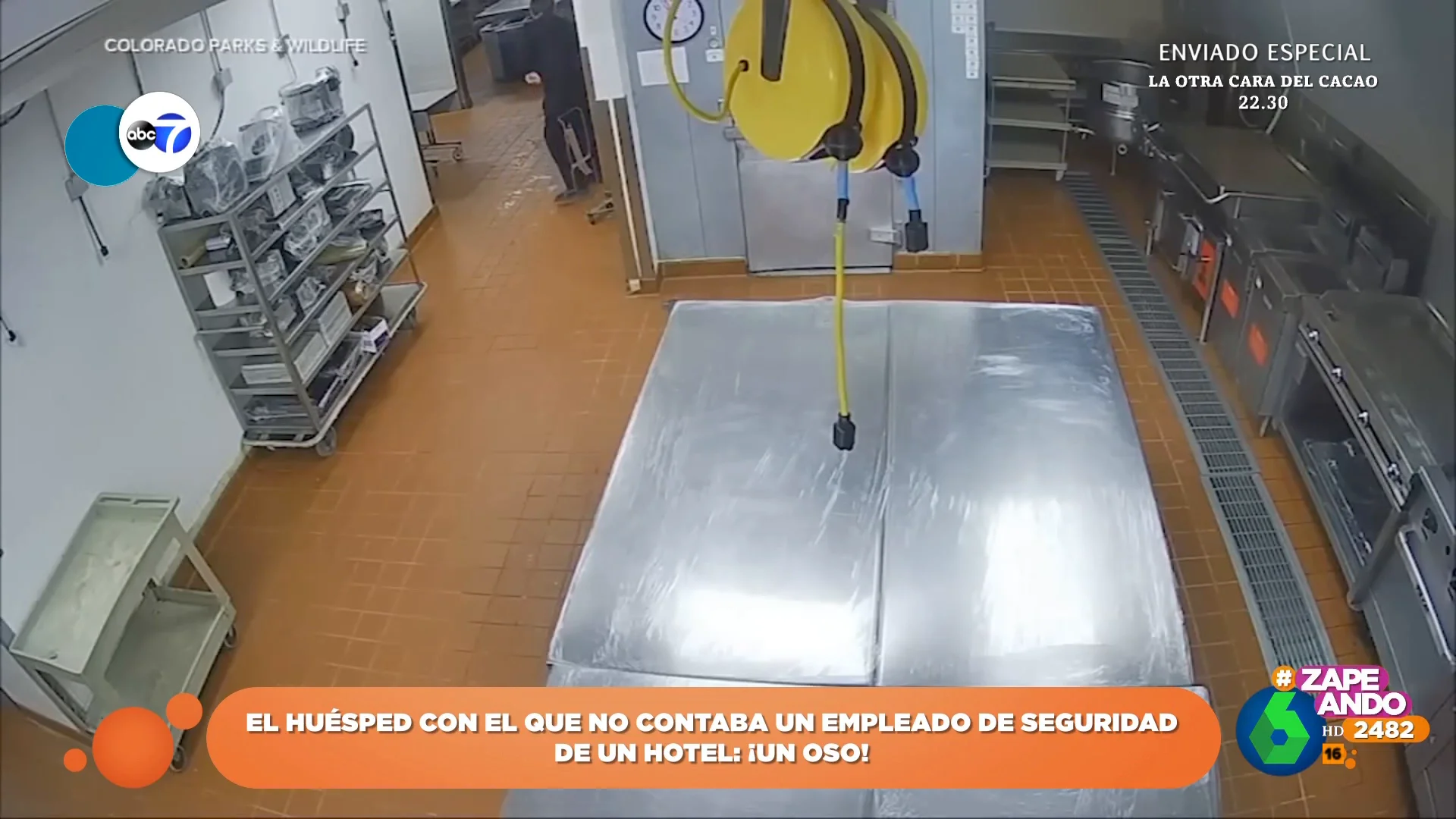 El inesperado huésped que un vigilante de seguridad encuentra en la cocina de un hotel de Aspen