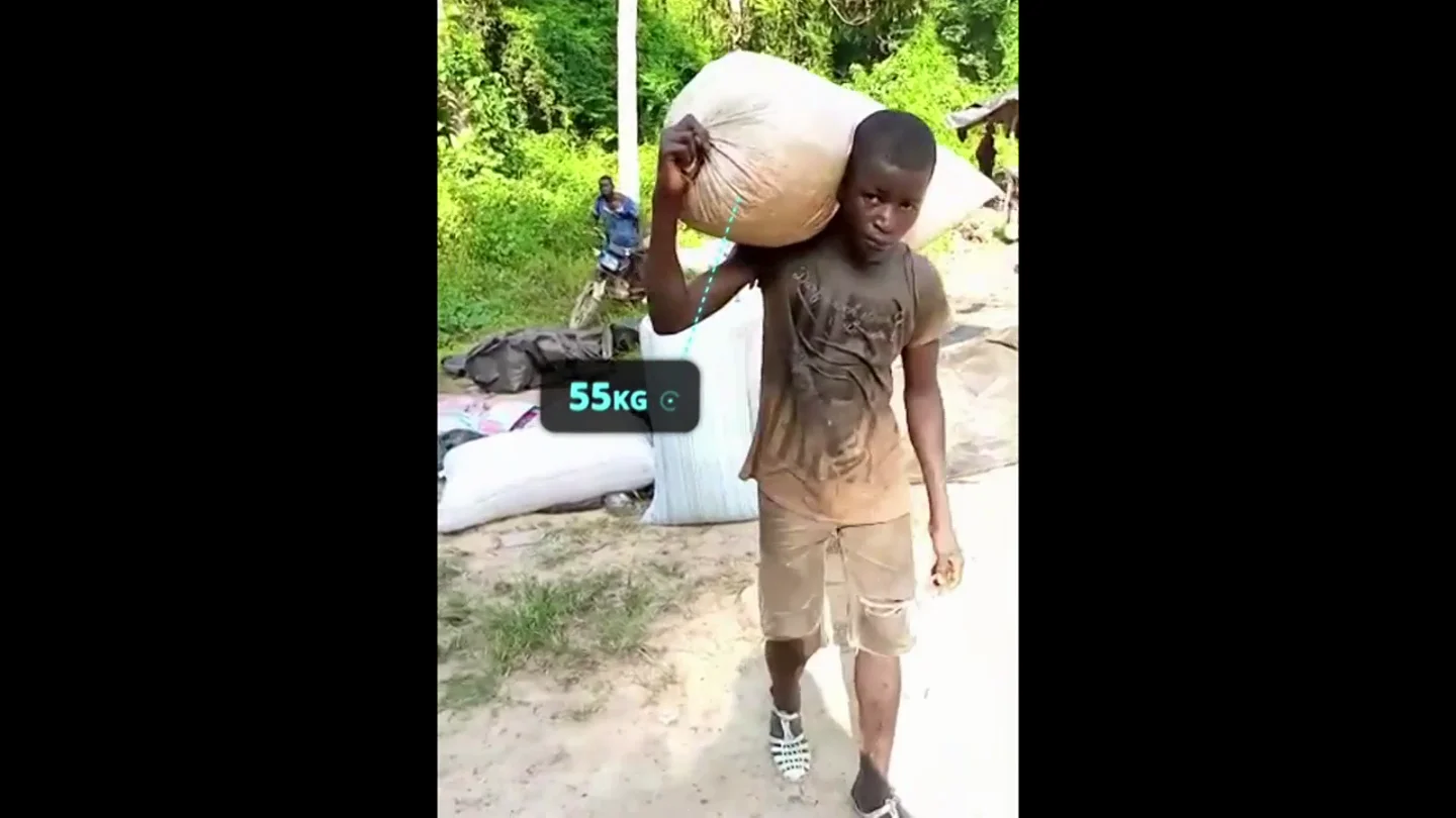 Enviado Especial descubre niños trabajando en plantaciones ilegales de cacao: "Uno lleva un saco de 70 kg y el otro, de 55" Enviado Especial descubre niños trabajando en plantaciones ilegales de cacao: "Uno lleva un saco de 70 kg y el otro, de 55"