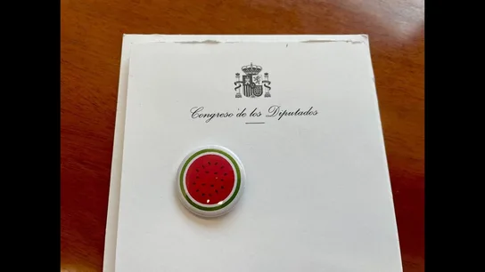 Un pin de una sandía, símbolo que llevan en la solapa algunos diputados en el Congreso durante la investidura de Sánchez Un pin de una sandía, símbolo que llevan en la solapa algunos diputados en el Congreso durante la investidura de Sánchez