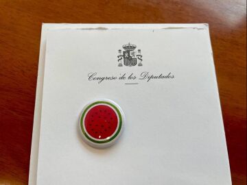 Why do some deputies wear a watermelon pin on their lapel at Sánchez’s inauguration?
