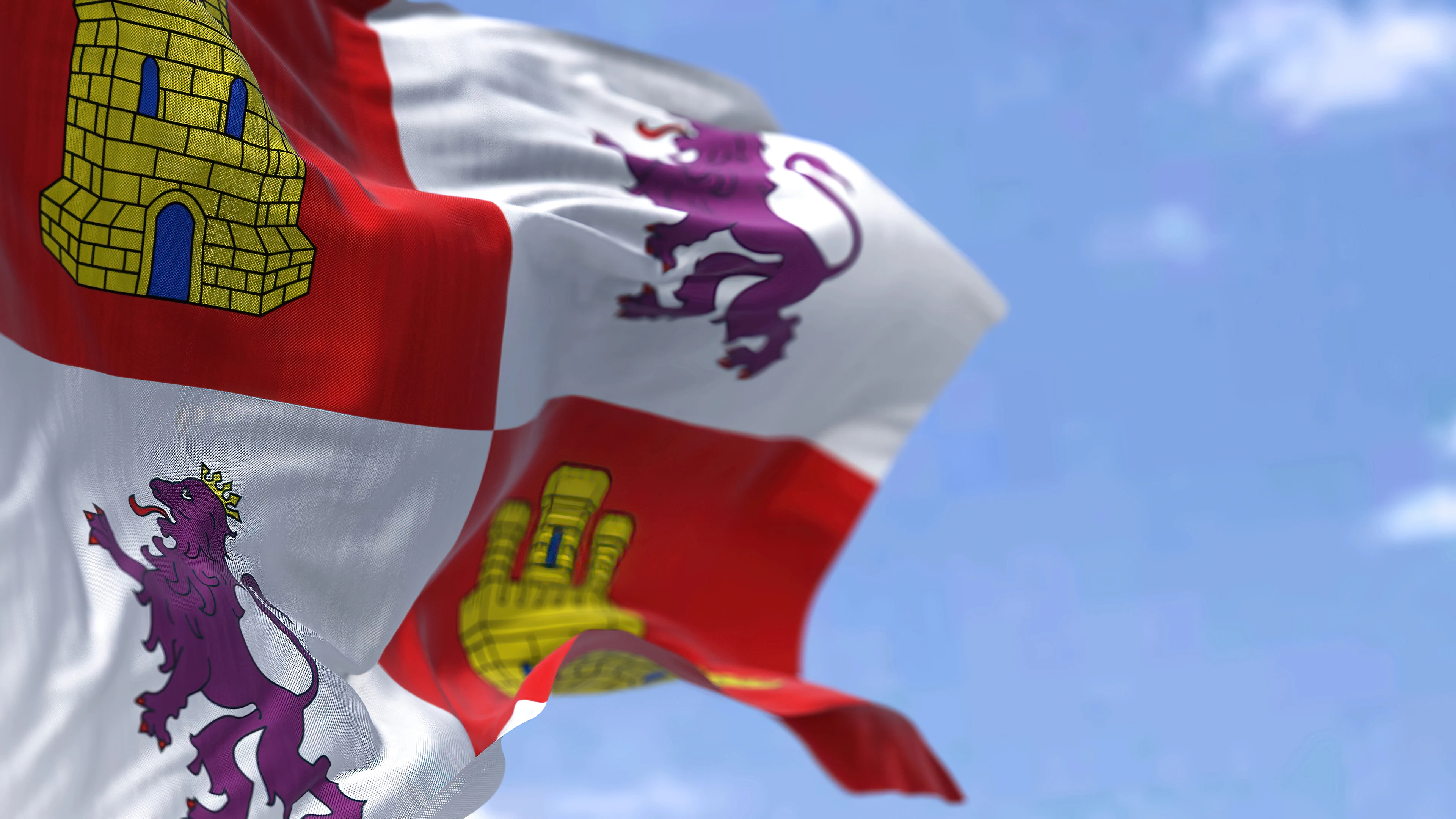 Bandera de Castilla y Le&oacute;n