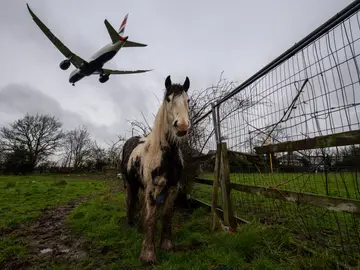 Un avión sobrevolando sobre un campo de caballos, en una imagen de archivo tomada cerca del aeropuerto de Heathrow en 2020