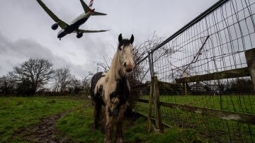 Un avión sobrevolando sobre un campo de caballos, en una imagen de archivo tomada cerca del aeropuerto de Heathrow en 2020