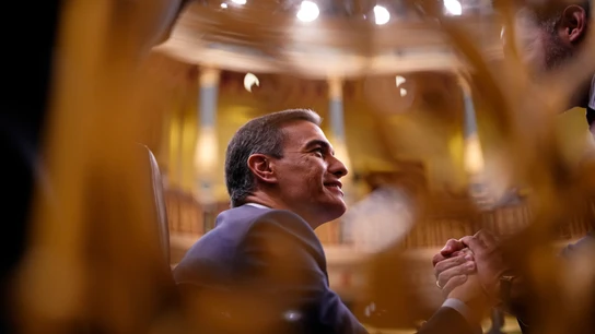 Pedro Sánchez, en su debate de investidura Pedro Sánchez, en su debate de investidura