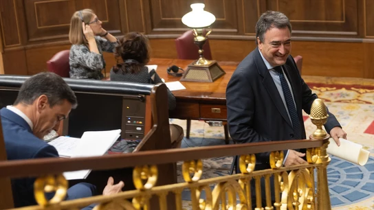 Aitor Esteban, en el Congreso de los Diputados Aitor Esteban, en el Congreso de los Diputados