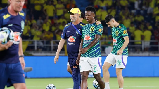 Vinicius Vinicius