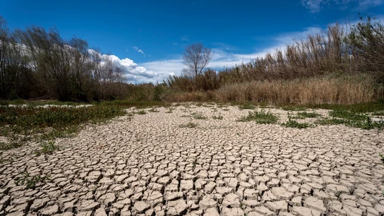 El río Muga a su paso por Peralada (Girona) El río Muga a su paso por Peralada (Girona)