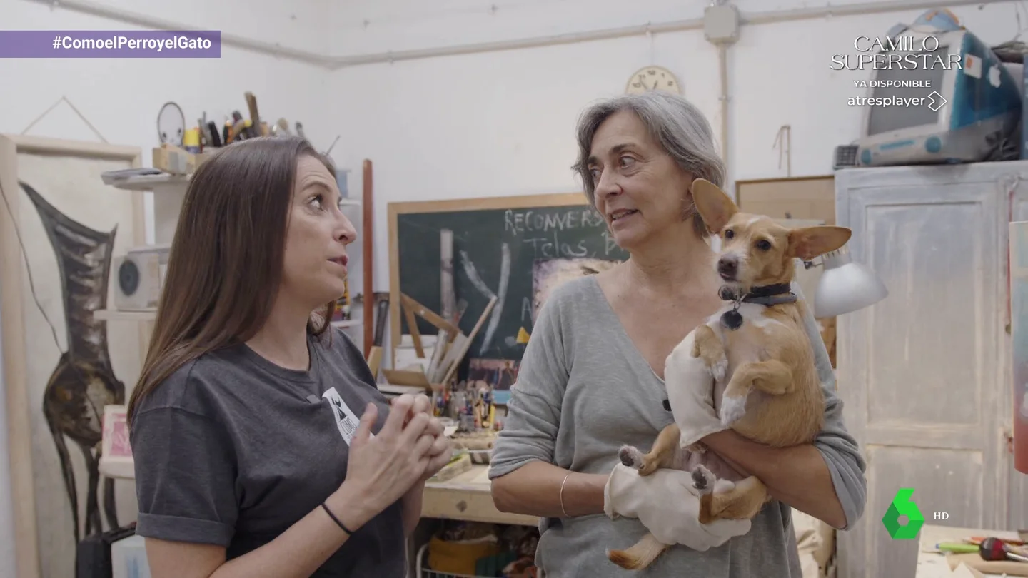 El espacio multicultural y coworking Quinta del Sordo, un lugar para compartir con tu perro en La Latina El espacio multicultural y coworking Quinta del Sordo, un lugar para compartir con tu perro en La Latina