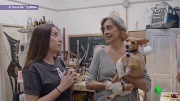 El espacio multicultural y coworking Quinta del Sordo, un lugar para compartir con tu perro en La Latina